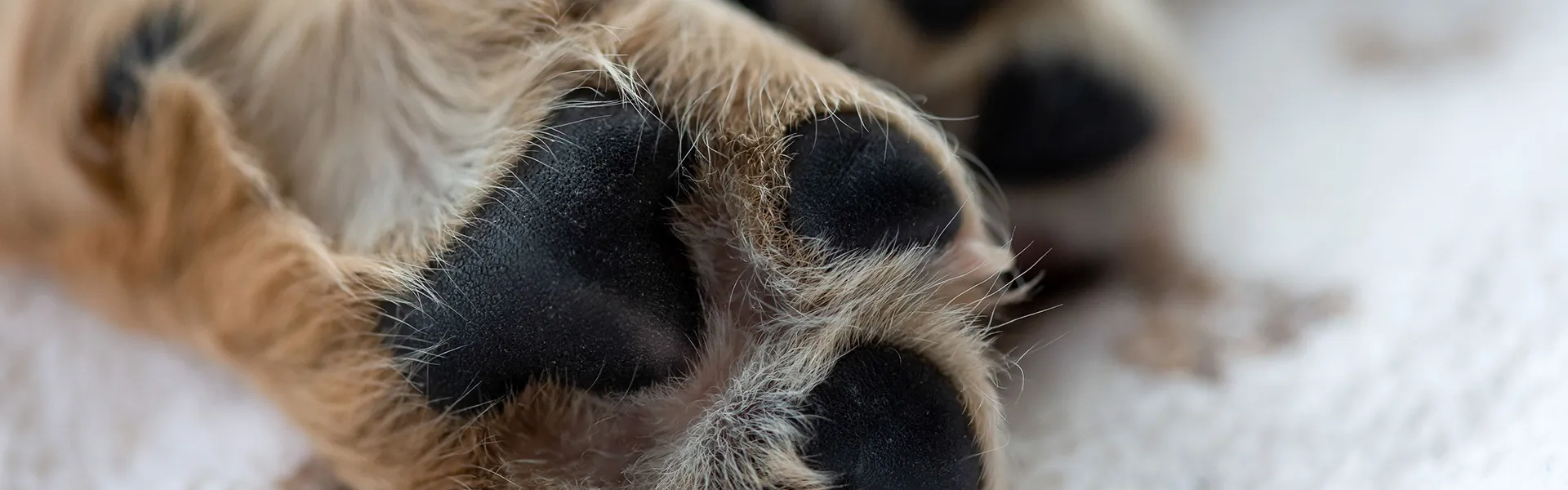 ❤︎知ってましたか?腸内フローラのお話